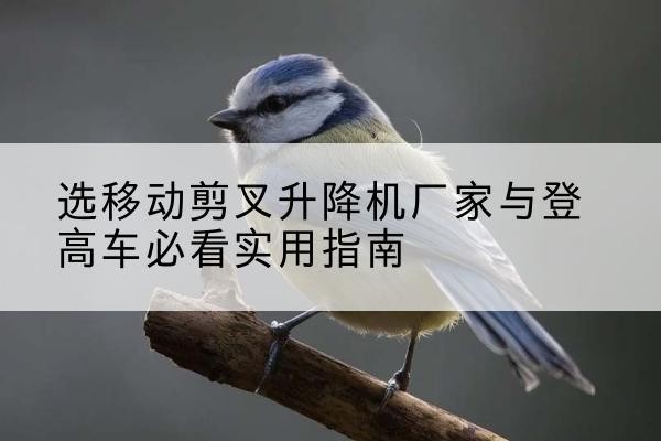 江宁电动升降机厂家-选移动剪叉升降机厂家与登高车必看实用指南