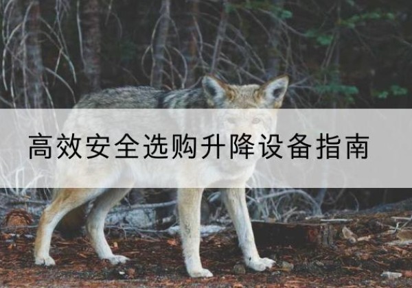 江宁升降货梯厂家推荐-*安全选购升降设备指南
