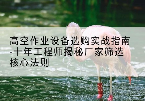 江宁剪叉式升降机厂家-高空作业设备选购实战指南-十年工程师揭秘厂家筛选核心法则